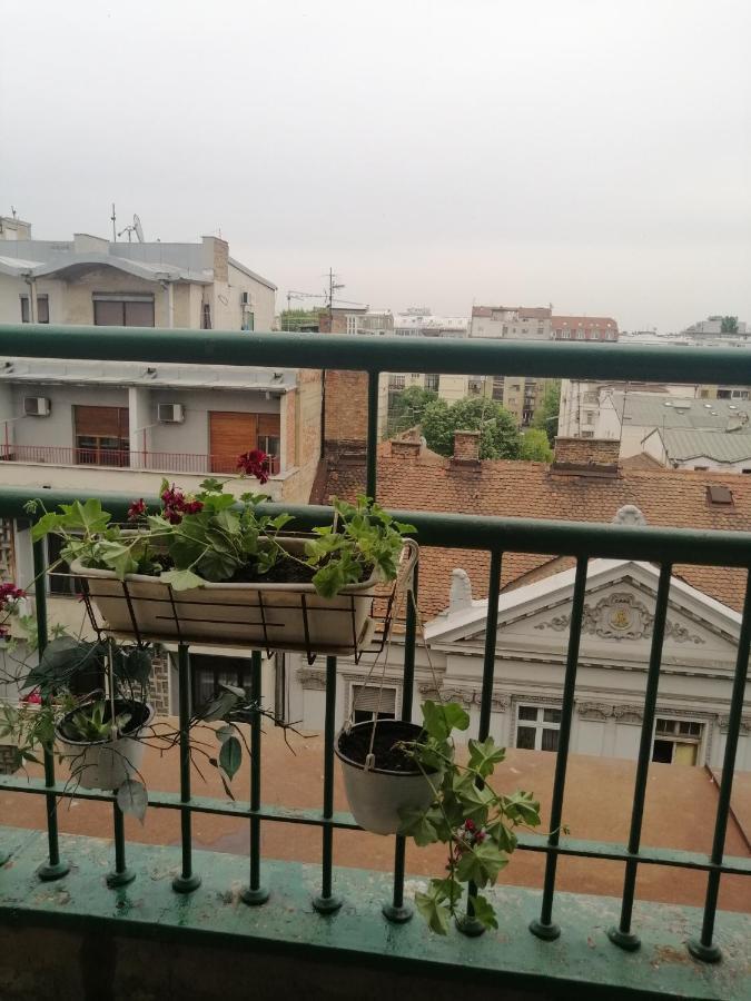 Apartman Centar Beograd Екстериор снимка